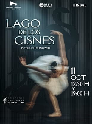 El Lago de los Cisnes- Image